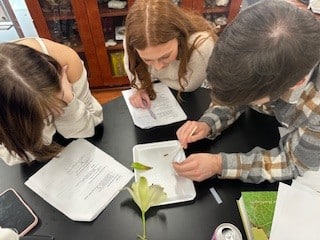 Students working in Biology lab.